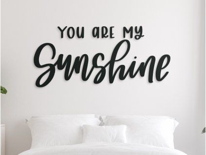 Nápis na stenu You are my sunshine