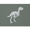 Detská nálepka na stenu Kostra dinosaura (Farba obrazu Sivá)