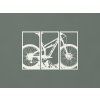 3-dielny obraz Bicykel (Farba obrazu Biela)