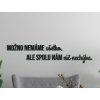 Citát na stenu Možno nemáme všetko