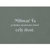 Citát o láske Milovať ťa je ideálny spôsob, ako stráviť celý život (Farba obrazu Sivá)