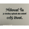 Citát o láske Milovať ťa je ideálny spôsob, ako stráviť celý život