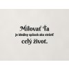 Citát o láske Milovať ťa je ideálny spôsob, ako stráviť celý život (Farba obrazu Čierna)