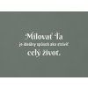 Citát o láske Milovať ťa je ideálny spôsob, ako stráviť celý život (Farba obrazu Biela)