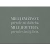 Citát o láske Milujem život, pretože mi dal teba (Farba obrazu Sivá)