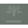 Nálepka na stenu znamenie Kozorožec (Farba obrazu Sivá)
