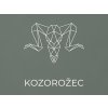 Nálepka na stenu znamenie Kozorožec (Farba obrazu Biela)