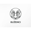 Nálepka na stenu znamenie Blíženci
