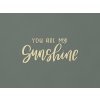 Nápis na stenu You are my sunshine (Farba obrazu Prírodná)