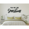 Nápis na stenu You are my sunshine