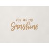 Nápis na stenu You are my sunshine (Farba obrazu Dub Jasný)