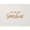 Nápis na stenu You are my sunshine (Farba obrazu Buk Bavaria)