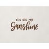 Nápis na stenu You are my sunshine (Farba obrazu Orech)