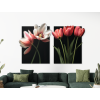 Dvojdielny obraz Romantické tulipány (Povrchová úprava Matná, Rozmer obrazu 31,5 x 52 cm)