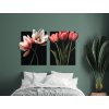 Dvojdielny obraz Romantické tulipány (Povrchová úprava Matná, Rozmer obrazu 31,5 x 52 cm)
