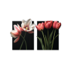 Dvojdielny obraz Romantické tulipány (Povrchová úprava Matná, Rozmer obrazu 31,5 x 52 cm)