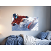 Obraz na stenu Jazda snowboardistu (Povrchová úprava Matná, Rozmer obrazu 28,5 x 45,5 cm)