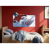 Obraz na stenu Jazda snowboardistu (Povrchová úprava Matná, Rozmer obrazu 28,5 x 45,5 cm)