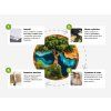 Obraz Sen o jednorožcovi (Povrchová úprava Matná, Rozmer obrazu 58,5 x 84 cm)