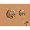 CLOCK 200025 (4)